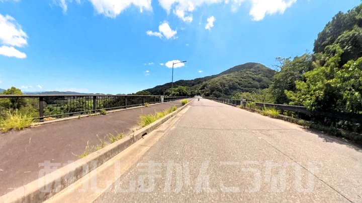 信号が少ない快走ルート