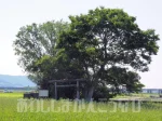 【葦原国 あしはらのくに】おのころ島神社近くの国生み神話伝承地