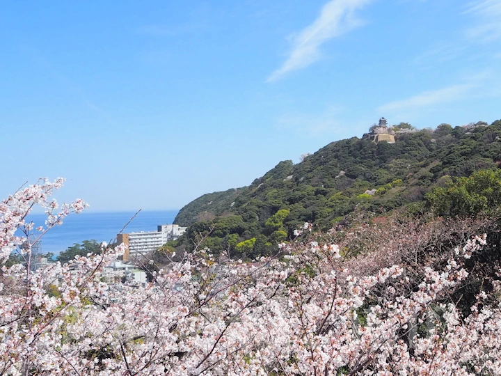 桜越しの洲本城