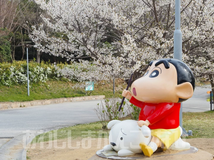 ニジゲンノモリの桜