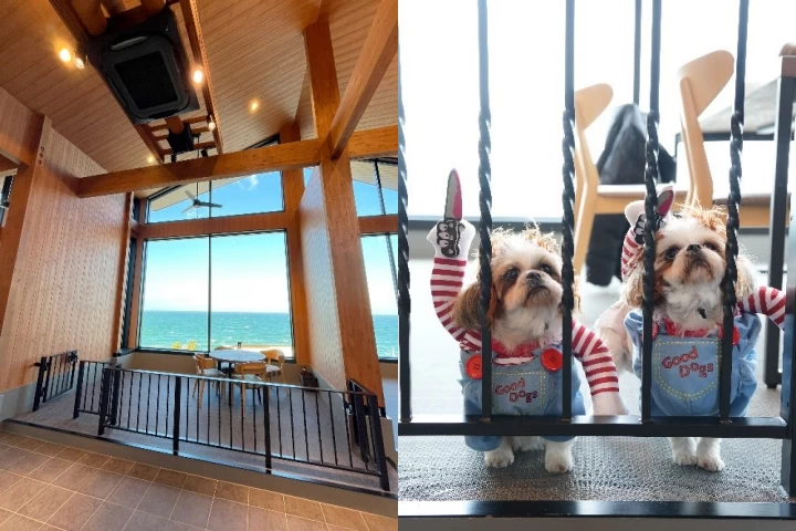 愛犬と過ごせるドッグフレンドリーカフェ