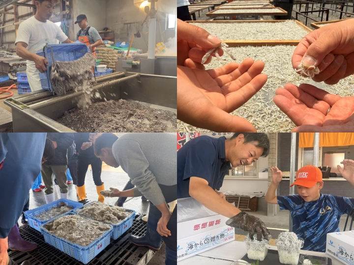 夏休みの自由研究にもおすすめ！岩屋で競り場見学と炊きたて釜揚げしらすを味わう体験ツアー開催