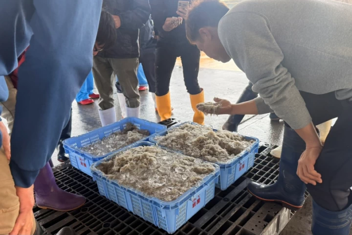 競り場や加工場を特別公開