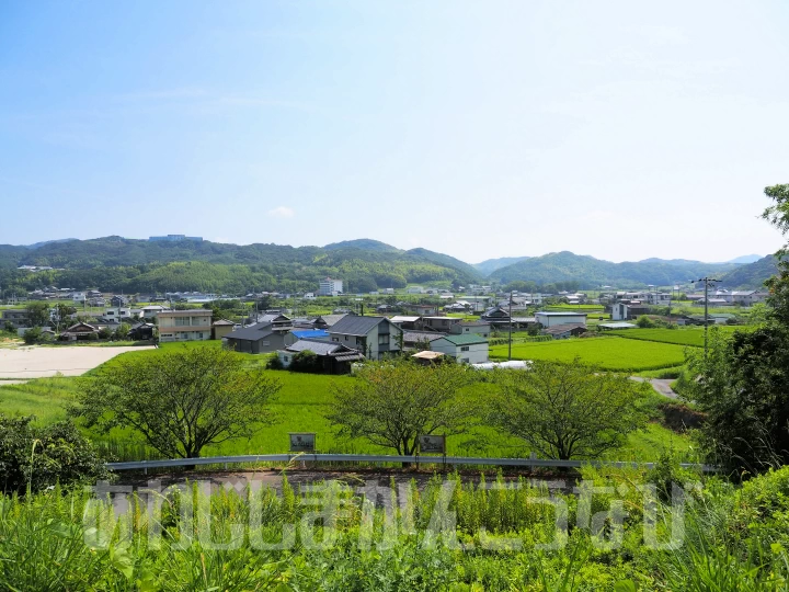 のどかな淡路島の田園風景が眺められます