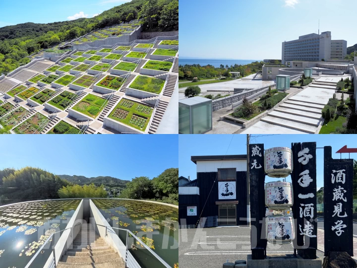 安藤忠雄ワールドに浸る「淡路夢舞台ガイドツアーと本福寺・千年一酒造訪問」開催