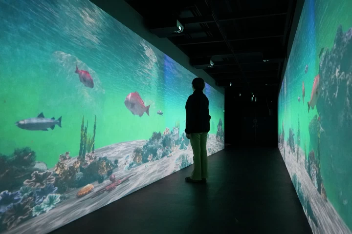 淡路島の海中散歩を楽しめる3Dデジタルアート