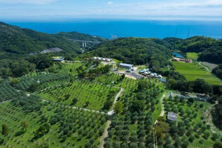 オリーブ園の中に建つ特別なロケーション