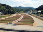 【ワンともキャンプ場】淡路島の犬連れ限定オートキャンプ場（全サイトにドッグラン付）