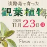 ワステップ淡路島で「淡路島で育った観葉植物市」11/23開催！ゴムの木＆アガベ