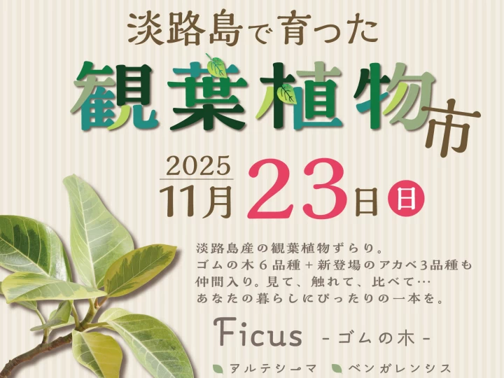 ワステップ淡路島で「淡路島で育った観葉植物市」11/23開催！ゴムの木＆アガベ