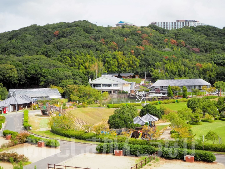 【ウェルネスパーク五色】キャンプ場・宿泊・温泉・レストラン・収穫体験などの複合レジャー施設