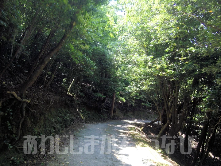 諭鶴羽神社までの道路