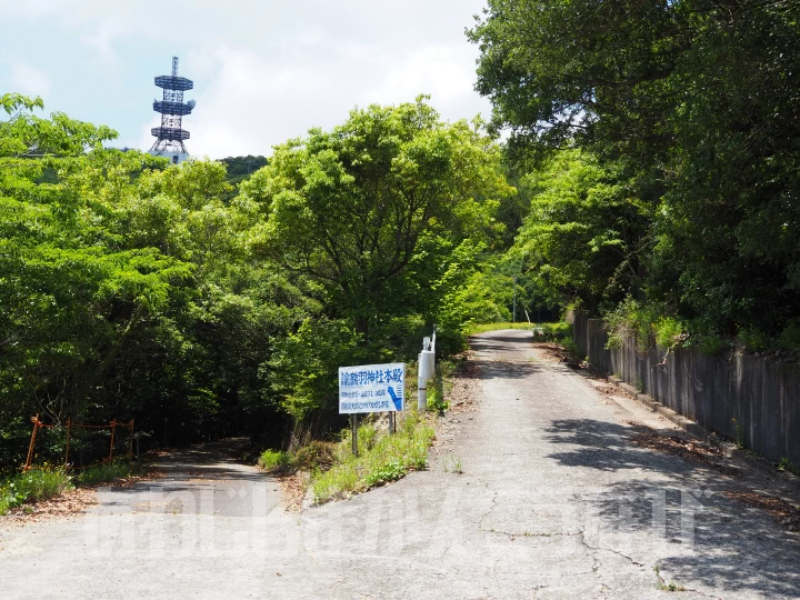 山頂までの道路