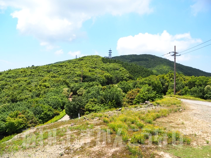 山頂の方もよく見えます